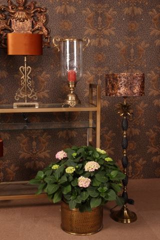 Windlicht Assiya 59,5 cm - Goud - Koper / Glas