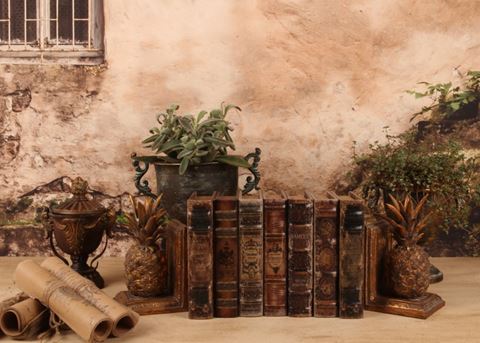 Book Storage Box Worldmap 20 cm - Brown