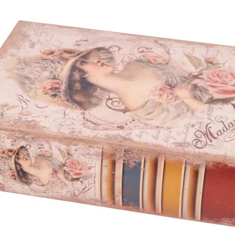 Book Storage Box Lady 20 cm - Pink