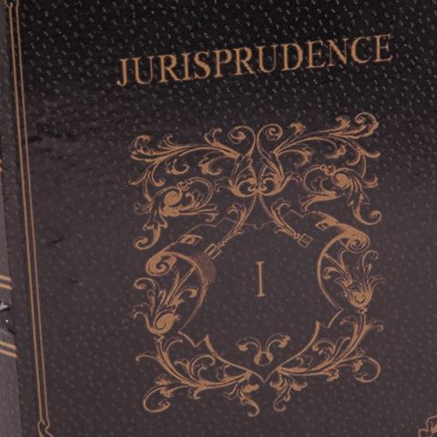 Book Storage Box Jurisprudence 23 cm - Black