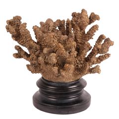 Deco koraal op voet 22 cm