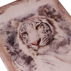 Coffret livre Tigre blanc 23cm