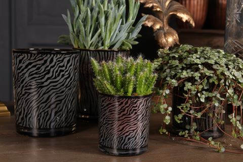 Tealight Holder 8 cm - Zebra Print - Black - Glass