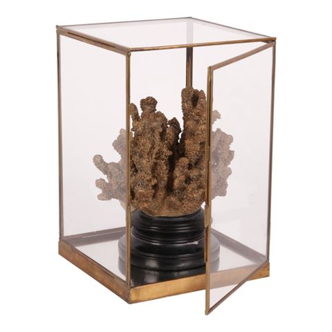 Display Box 40 cm - Goud - Koper / Glas