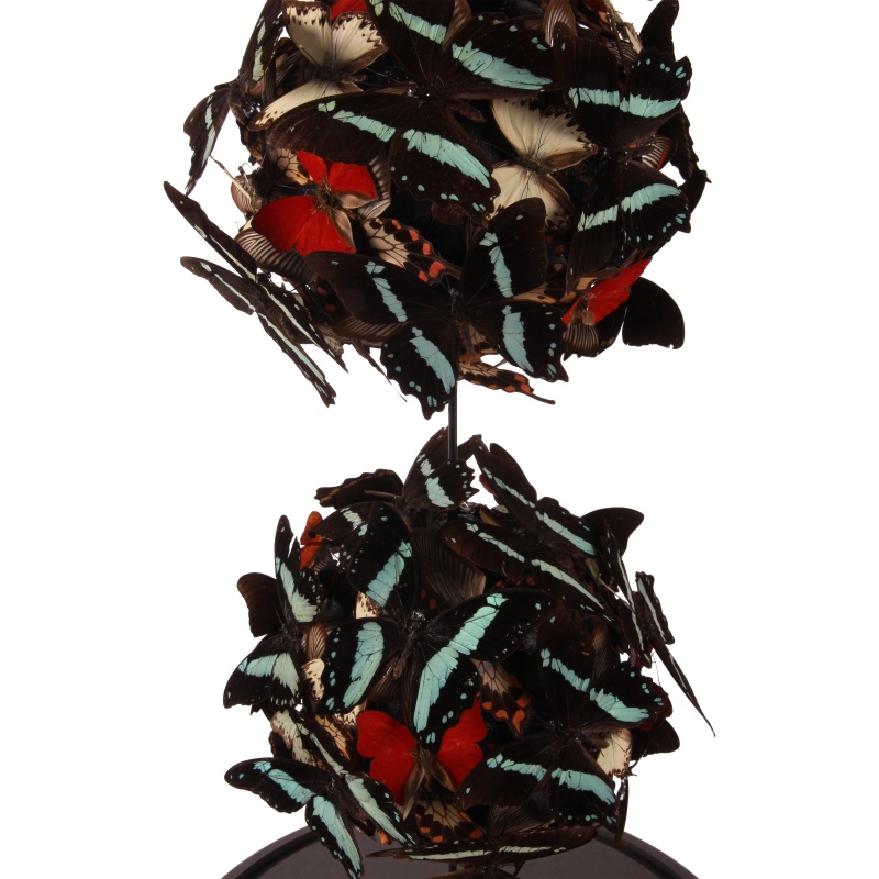 Edel Hert