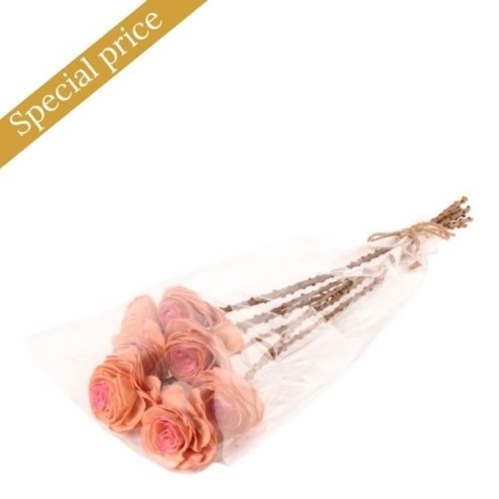 Nat. Shola Beauty Rose 6 cm