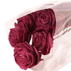 Nat. Shola Beauty Rose 6 cm