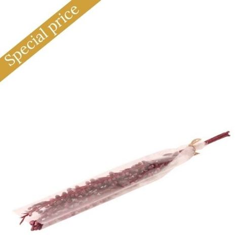 Nat. Moti Stick 60 cm