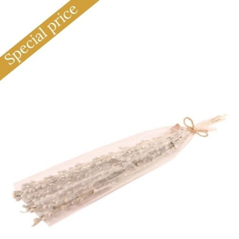 Nat. Moti Stick 60 cm