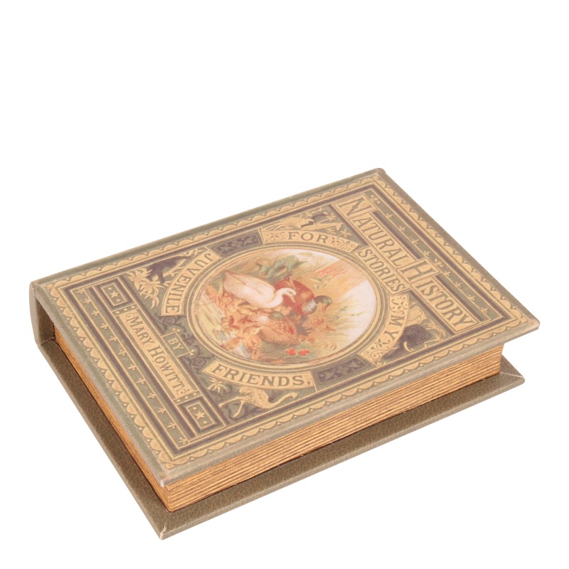 Book box 20 cm Natural history