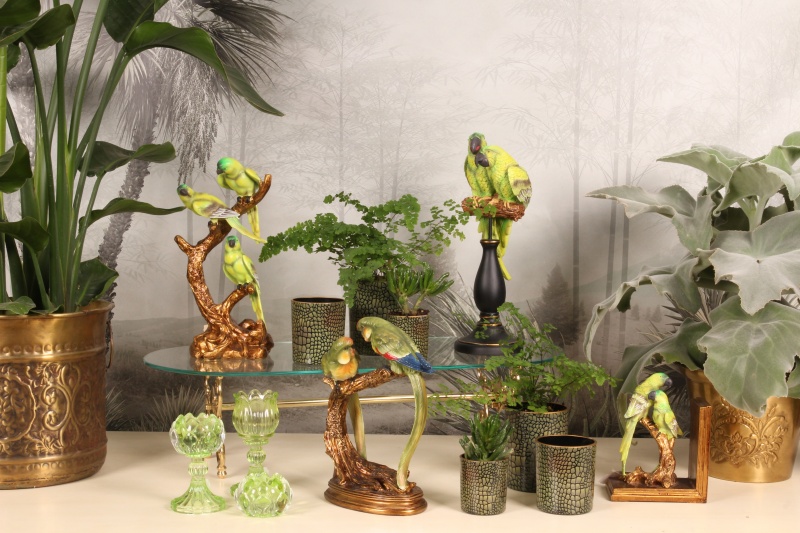 Papegaai resin 37 cm