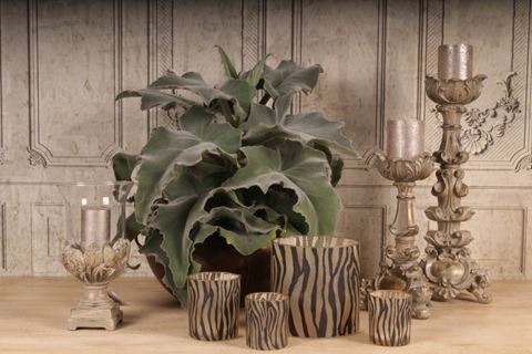 Theelicht glas 15 cm