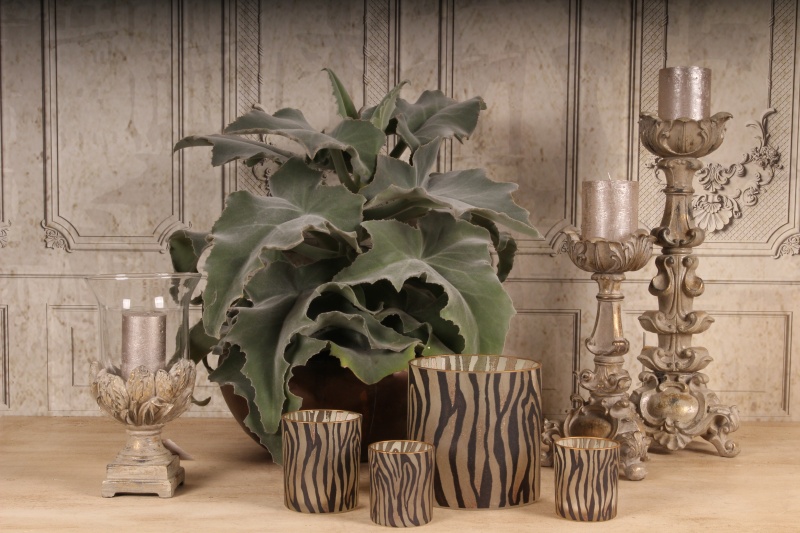 Waxinelichthouder Zebraprint 8 cm - Bruin - Glas