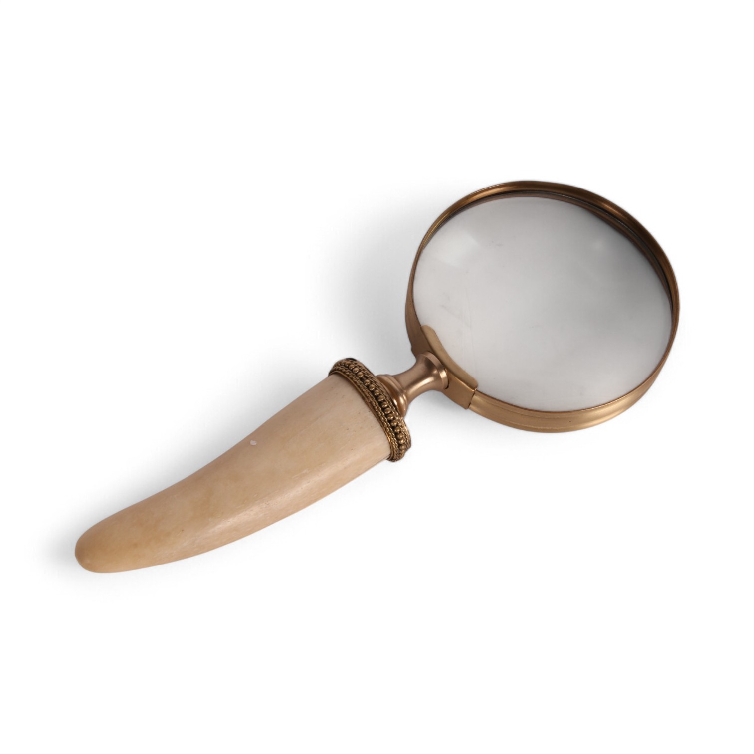 Magnifying Bone
