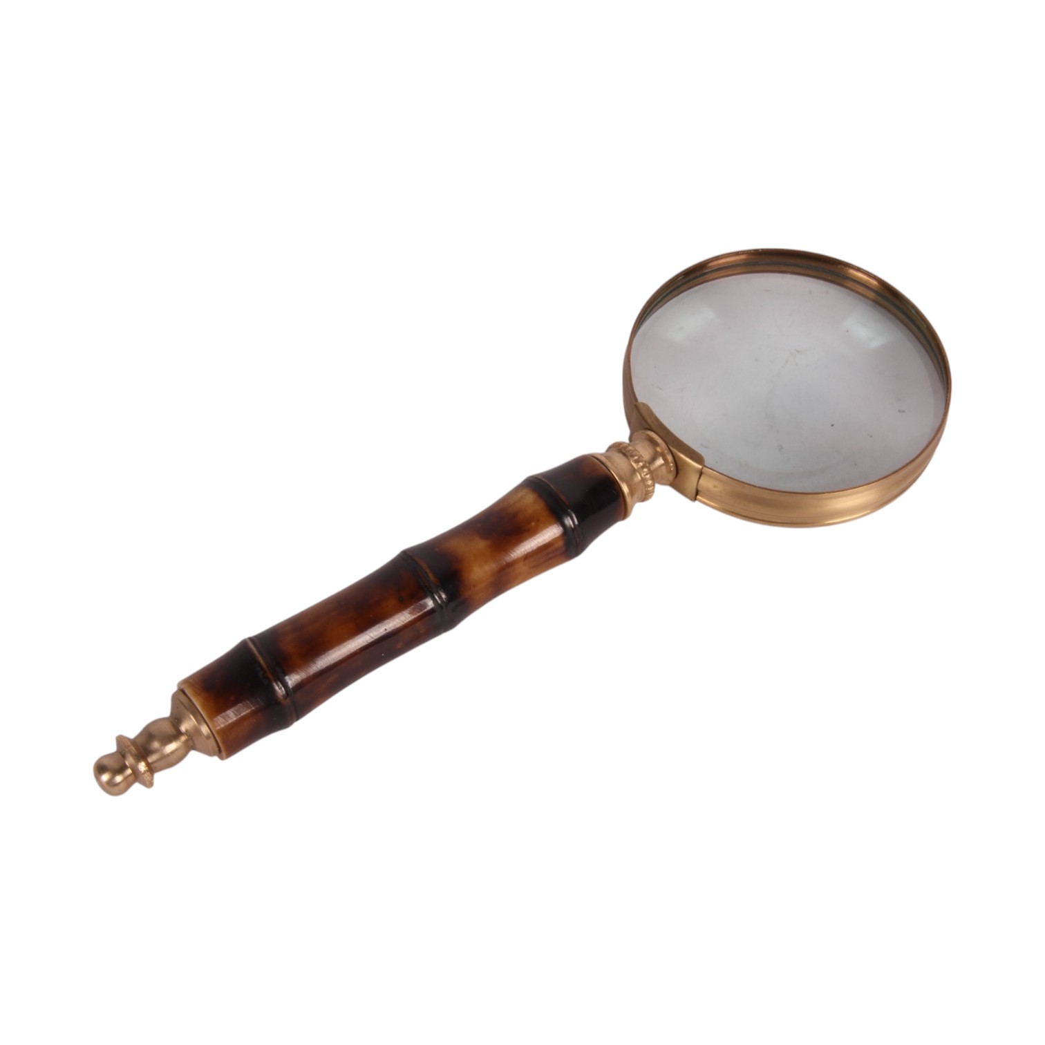 Magnifying Cane