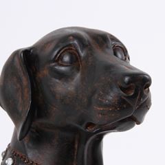 Fig. Hondenbeeld Weimaraner