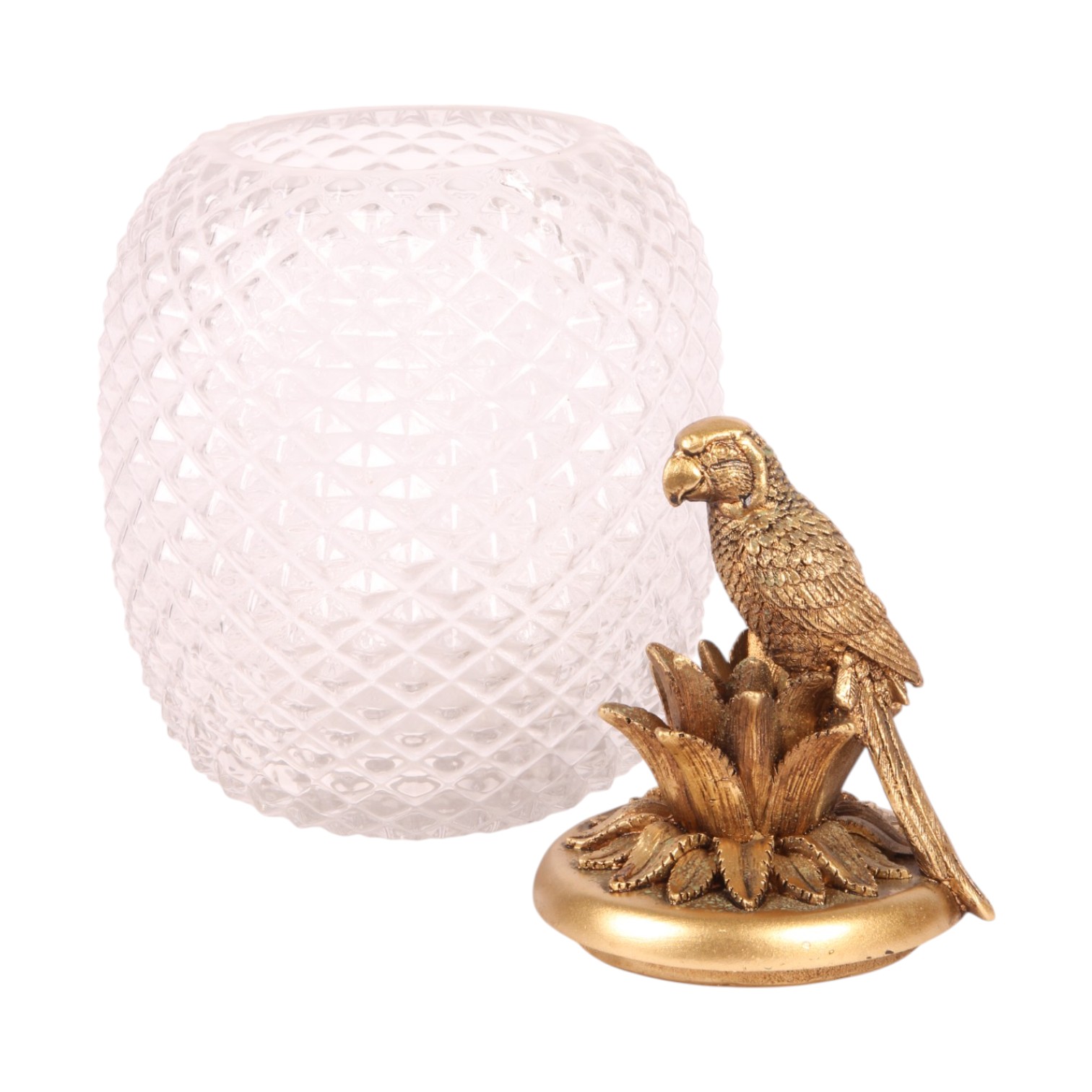 Glass Jar Parrot 28.5 - Gold - Resin