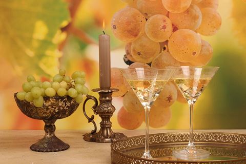 Martini glass 210 ml