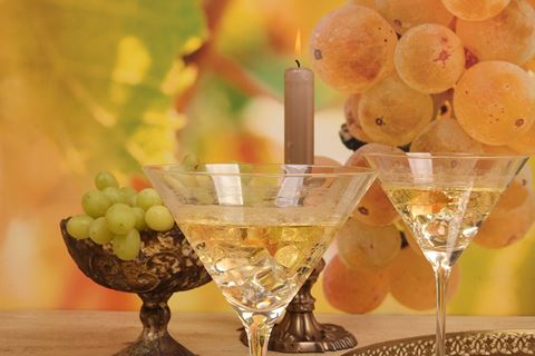 Martini glass 210 ml