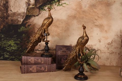 figue. Paon ASS/2 résine 41 cm