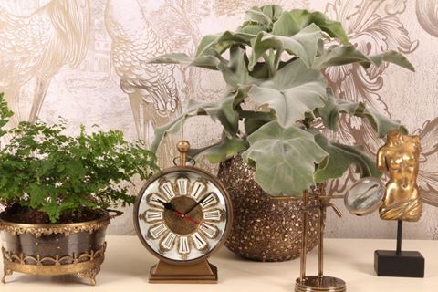 Montre Trophée Ø17,5 cm