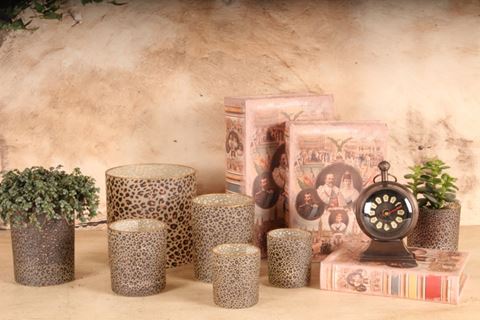 Montre Trophée Ø17,5 cm