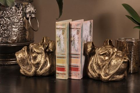 Serre Tête De Chien