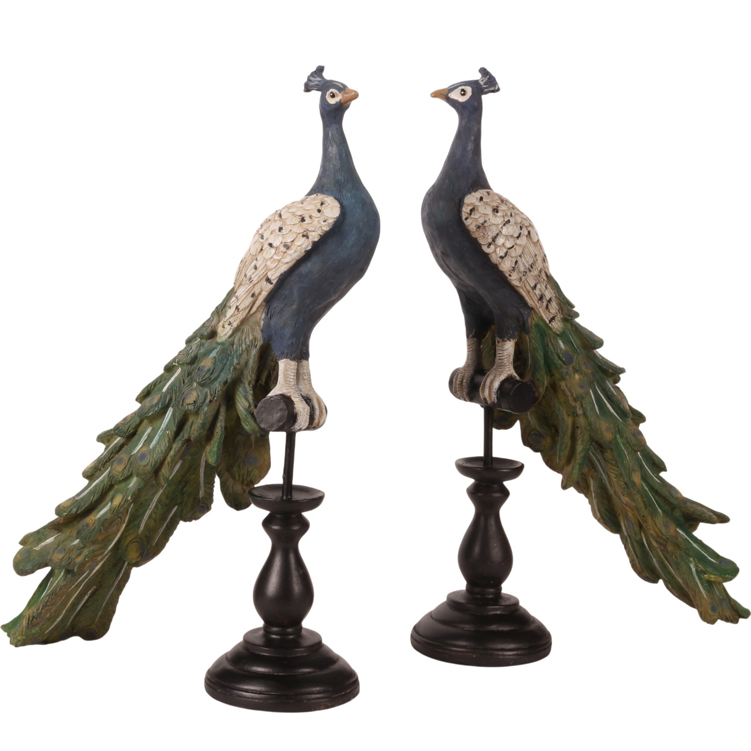 Pauw op Voet ASS/2 41 cm - Blauw - Resin